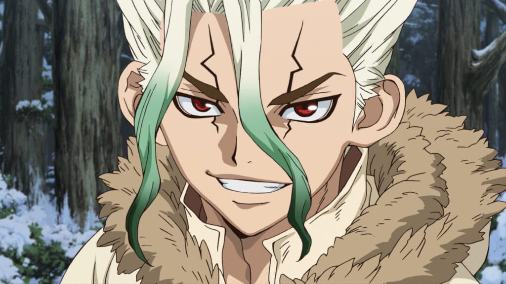 Dr. Stone