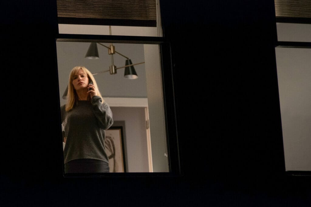 Woman In The Window