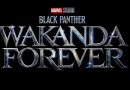 Black Panther Wakanda Forever The Nerdy Basement