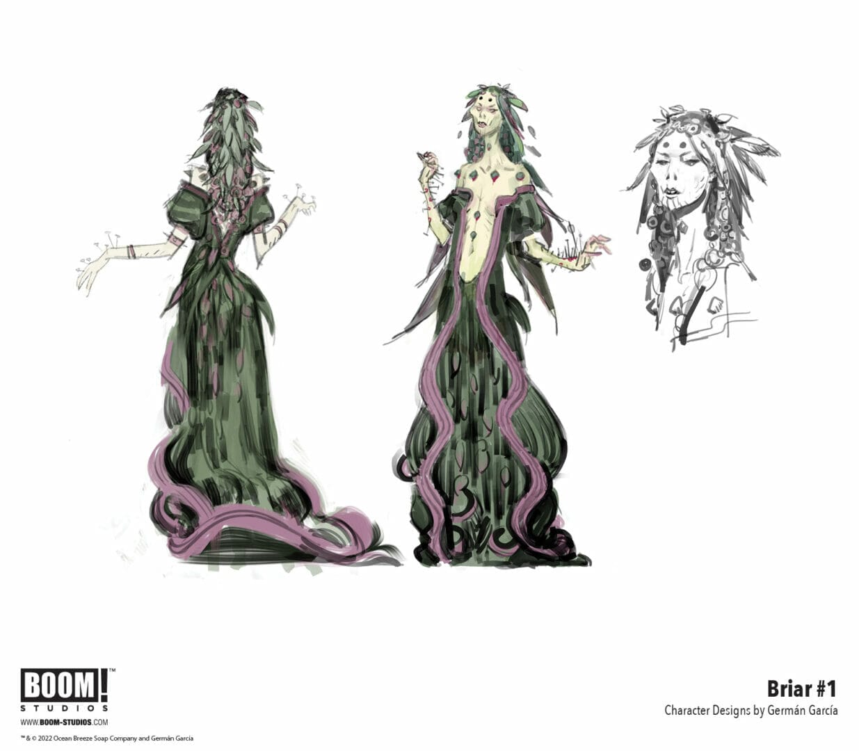Briar #1 Sleeping Beauty Boom! Studios The Nerdy Basement