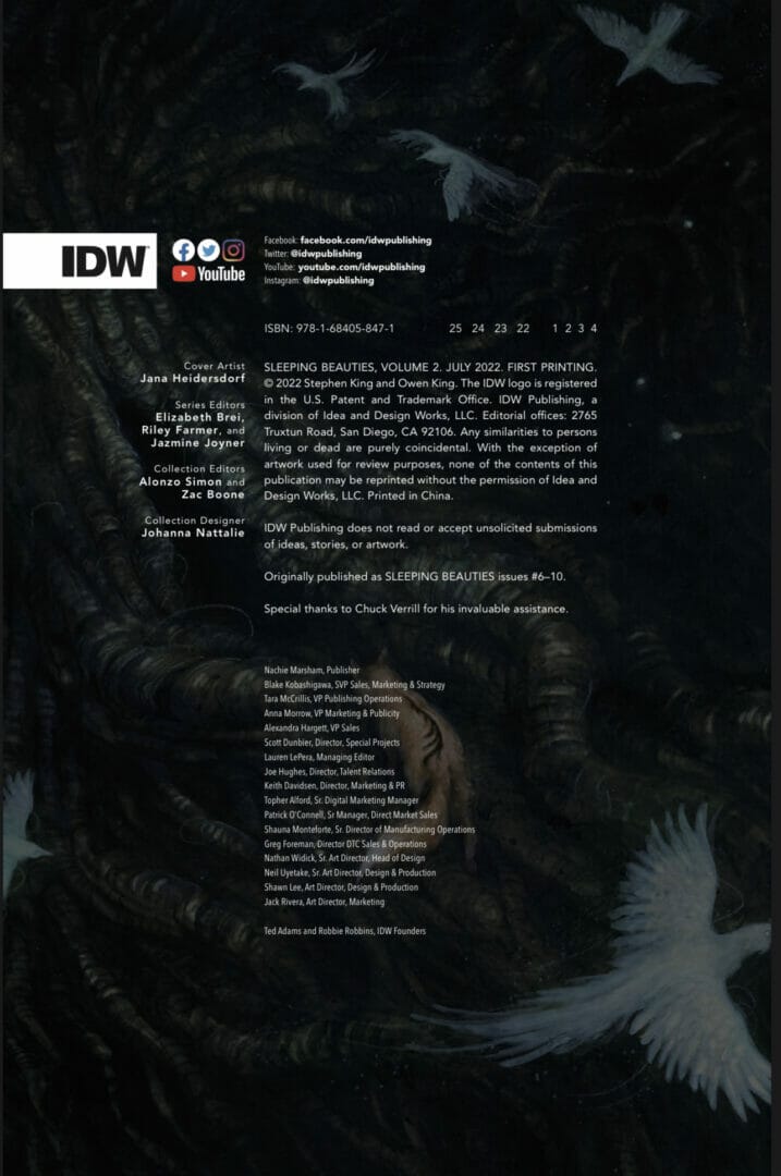 Sleeping Beauties Volume 2 Advanced Preview and Release Date The Nerdy Basement