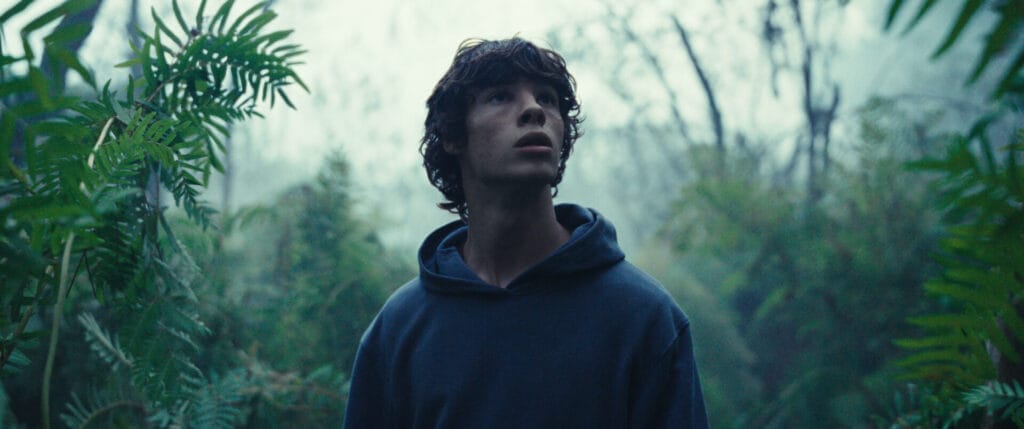 'The Animal Kingdom' Review: An Emotionally Deep and Visually Stunning Fable The Nerdy Basement